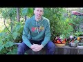 Colorful October Garden Harvest and Tour, If You Want Organic Food You Have to Grow it Yourself