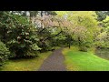 Music for Anxiety & Stress, Calm Meditation, and Therapy for Relaxation - Japanese Garden #1