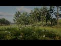 RED DEAD REDEMPTION 2 Ambient Music & Ambience 🎵 Green Fields (RDR2 Soundtrack | OST)