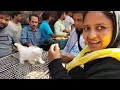 Recent Dog Puppy Price Update | Galiff Street Pet Market Kolkata | dog market in kolkata | Kolkata