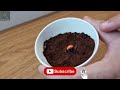 How to Burn Coffee Grounds to Get Rid of Mosquitoes - Mosquitoes Natural Repellent - Home Remedies