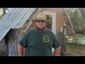 One Week Homesteading at my OFF GRID CABIN! Part One | In the Bush #85
