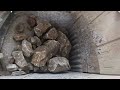 Metso 130 Jaw Crusher In Action.. 600TPH