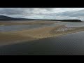 Seals of Dornoch