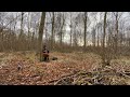 Relaxing Music 4K, Live Performance of Guitar and Bass in an English Woods, ASMR Nature Ambience