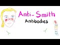 Anti-Smith (anti-Sm) Antibodies; Systemic Lupus Erythematosus