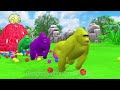 Paint & Animals Duck,Gorilla,Lion,Elephant,Cow,Sheep Fountain Crossing Transformation Animal Cartoon