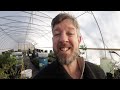 Can Barrels of Water Keep a Greenhouse Warm? Results!