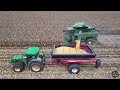 John Deere S7 Shelling Corn in Louisiana 4K