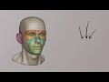 Easy, Simple and Clean Head Retopology Tutorial | Blender 3D