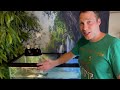 (NO DIY) TURTLE TANK SETUP! - EASY Beginner Turtle Aquarium