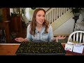 How to start seeds indoors with step by step instructions and demonstrations// Northlawn Flower Farm