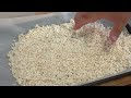 Rice KOJI fermented with Yogurt maker
