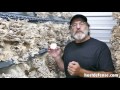 Paul Talks About Maitake Mushrooms