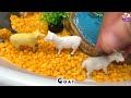 2 Mini World With Wildlife Farm Animals | Volcano Farm Vegetables Barn And Cow Tiger Goat