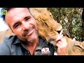 These Animals Reunited With Owners After Years | Animal Reunion #2