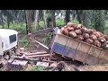 Palm Oil Work Indonesia And Bangla মানুষ | বড় পাম গাছে ফল কাটা Salary Money Asia Oil Palm Farm