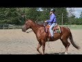 Mayah and Nash Ranch Riding Pattern  - August show 2023