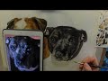 Watercolour dogs portrait painting process time-lapse, Buster and Charlie