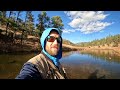 November Dry Takes | Trout Fishing Colorado