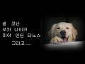 조커의 출생에 비밀 - 1부) 나는 이렇게 버려졌다