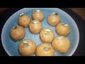 Besan k Ladoo | بیسن کے لڈو | बेसिन के लड्डू | Pakistani / indian recipe