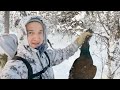 Winter grouse hunting very far north - Afterwork à la Inari, Lapland, Finland - A capercaillie