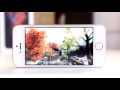iPhone SE (1 gen.) - Review, Test, Opinion [4K] [CC]