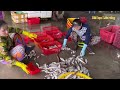 Hải sản tươi ngon tôm cua cá ghẹ biển bạc Liêu