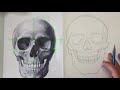 Drawing a Human Skull:  Proportion and Shading