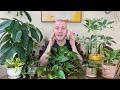 Home Jungle Styling Tips | Houseplant Tips & Tricks Ep. 26