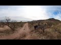 360 Horseback Riding at Elkhorn Ranch in Arizona - 5K VR Dude Ranch Trail Ride Experience