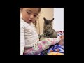 New Cats Videos 2024 😹 Funny Cat Videos − Funny Cats