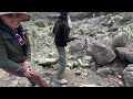 HUNT for FIRE!! Oatman ARIZONA Fire Agates