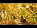 Alone With God: Christian Piano | Soaking Worship & Prayer Music With Autumn🍁Divine Melodies