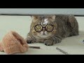 Cats vs Voldemort | Kittisaurus