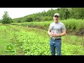 Three Of THE BEST Food Plot Set Ups For Hunting!!