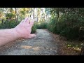 Carolina Beach State Park Campground Tour