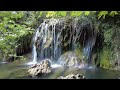 Gorgs de les Planes d'Hostoles | Cascadas en Girona (Catalunya)