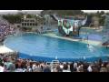 SeaWorld's Killer Whale's Splashing Visitors (in 2009)