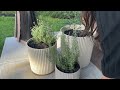 Outdoor Patio Makeover | Minimal & Budget Friendly