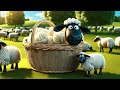 Old MacDonald Had a Farm Song & Baa Baa Black Sheep Song