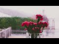 NHẠC CHILL CHO NHỮNG NGÀY MƯA, CHILLHOP MUSIC, Tiếng mưa rơi