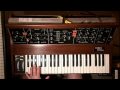 my Minimoog - a little Solo with Delay and Distortion