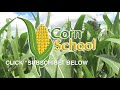 Corn School: Planting Depth Lessons