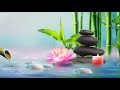 Relaxing Piano Music + Water Sounds 🎵 Calming Sleep Music, Meditation Music (Bamboo Water)