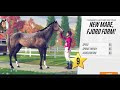Breeding NEW RARE colours/HIGH stats in NEW barn! Part 1 Rival Stars Horse Racing