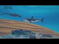 Largest Sea Creatures Size Comparison | Fish Size Comparison | (3D animation) #animation