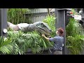 New Jurassic World Raptor Encounter at Universal Orlando w/ Baby Raptor & Blue, Islands of Adventure