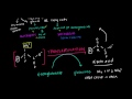 Overview of Amino Acid Metabolism